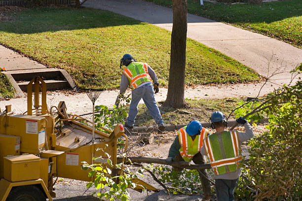 Best Lawn Watering Services  in Moapa Valley, NV